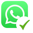 Use WhatsApp for these topics